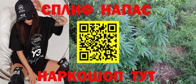 мдпв Партизанск